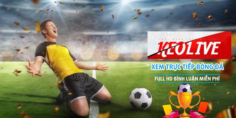 Các giải đấu được truyền hình trực tiếp trên kênh Trực tiếp bóng đá