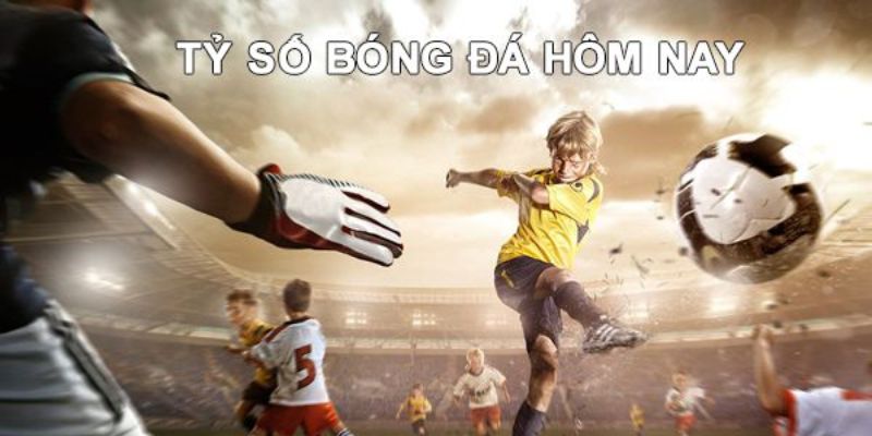 Những lưu ý khi sử dụng dịch vụ Livescore